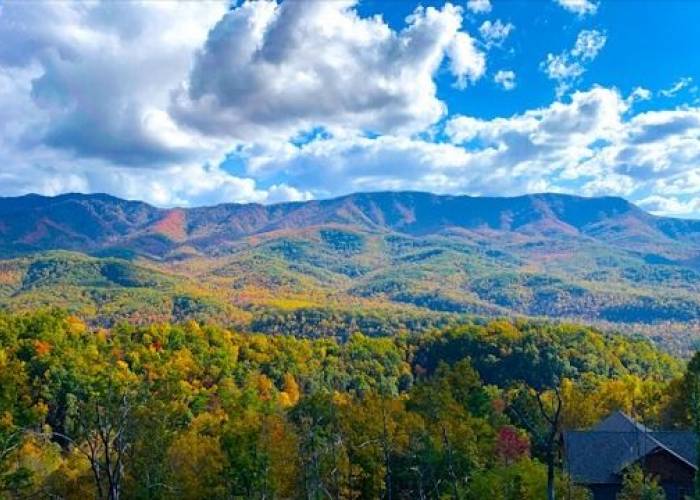 Fall in the Smokies Fall in the Smokies