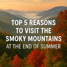 End of Summer Blog End of Summer Blog